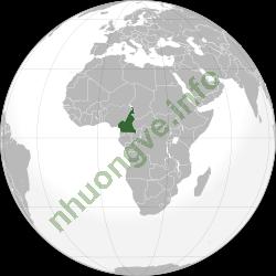 Ảnh Cameroon 205 2