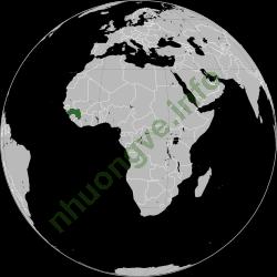 Ảnh Guinea 157 2