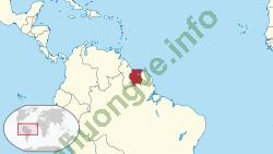 Ảnh Suriname 232 2
