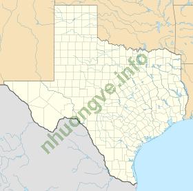 Ảnh sân bay Dallas/Fort Worth International Airport DFW 1