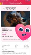 Ảnh Mình cần pass 2 vé xem phim Bẫy ngọt ngào vào lúc 18h ngày 6/3/2022.