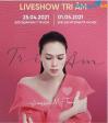 Ảnh Pass vé Liveshow Tri Âm Mỹ Tâm Hà Nội