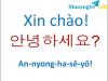 Ảnh PASS LẠI KHÓA HỌC TIẾNG HÀN SƠ CẤP Ở TT NGOẠI NGỮ NEW SKY