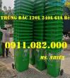 Ảnh Chuyên bỏ sỉ thùng rác 120L 240L giá lẻ- thùng rác giá rẻ tại vĩnh long- lh 0911082000