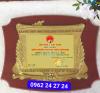 Ảnh làm bằng khen vinh danh y sỹ xuất sắc, bằng khen cao cấp