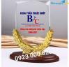 Ảnh Kỷ niệm chương pha lê in logo và nội dung theo yêu cầu