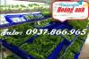 Ảnh Mua thùng A2, thùng a2 tại hà nội, bán thùng nhựa, khay nhựa, sóng nhựa bít, khay cơ khí