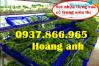 Ảnh Sọt nhựa phân loại sản phẩm, sọt dúng trong của hàng viet grap, sọt chứa ản phẩm phòng lạnh