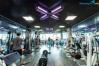 Ảnh Gói tập PT 1:1 tại FIT CENTER Hòa Bình, Tân Phú, HCM
