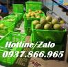 Ảnh Sóng nhựa, mua sọt quai sắt ở đâu, sọt quai sắt đựng hàng nông sản, mua sọt quai sắt tại hà nội