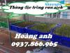 Ảnh Sóng bít HS025, Sóng nhựa 1T, khay đựng hải sản các cửa hàng trưng bày,hộp cơ khí