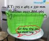 Ảnh Sọt nhựa HS 011, sọt đựng thanh long, sọt nhựa hở có quai sắt, sọt nhựa nguyên sinh