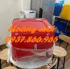 Ảnh ThuÌng chơÌ haÌng sau xe maÌy taÌ£i haÌ nôÌ£i, thung cho hang, thuÌng giao cơm
