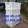 Ảnh Sọt chế biến thực phẩm trong kho lạnh, sọt nhựa rỗng- sóng hở