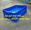 Ảnh Giá khay nhựa tại Hà Nội, khay nhựa, hộp nhựa, thùng nhựa, khay nhựa cao 10