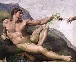 Ảnh Adam 249