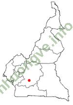 Ảnh Alagoas 261 6