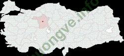 Ảnh Ankara 230 1