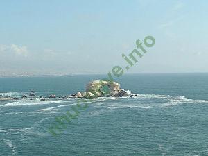 Ảnh Antofagasta 227 2