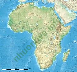 Ảnh Arusha 281 4