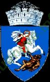 Ảnh Bacău 423 8
