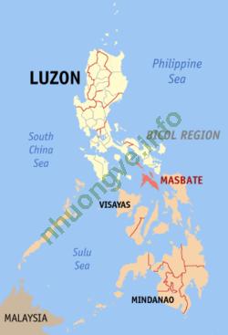 Ảnh Baguio 385 4