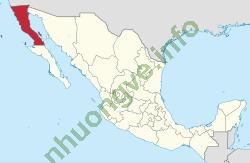 Ảnh Baja California 492 3