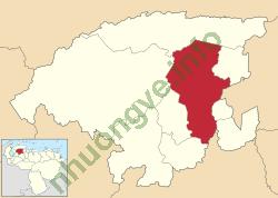 Ảnh Barquisimeto 629 3
