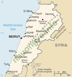 Ảnh Beirut 461 2