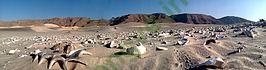 Ảnh Berbera 407 1