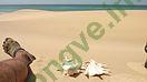 Ảnh Berbera 407 3