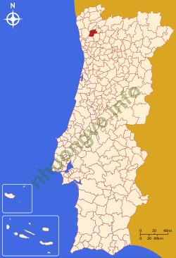 Ảnh Braga 485 1
