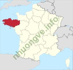 Ảnh Brittany 458 1