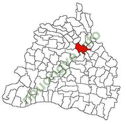 Ảnh Craiova 909 2