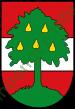 Ảnh Dornbirn 1566 1