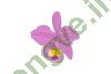Ảnh El Bagre 1139 3