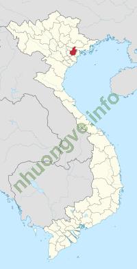 Ảnh Hai Duong 4380 1
