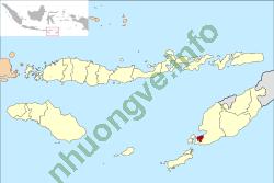 Ảnh Kupang 2011 2