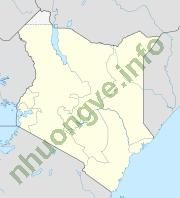 Ảnh Maasai Mara 2572 1
