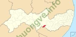 Ảnh Manari 2575 1