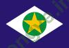 Ảnh Mato Grosso 105 1