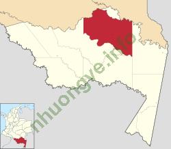 Ảnh Mirití-Paraná 2463 1