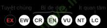 Ảnh Moa 2529 1