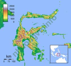 Ảnh Palu 3100 3