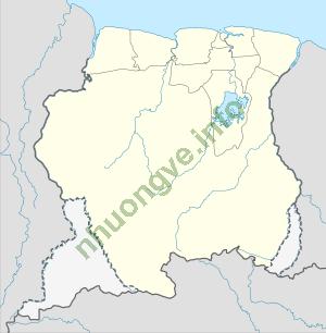 Ảnh Paramaribo 2931 1