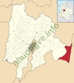 Ảnh Paratebueno 1231 2