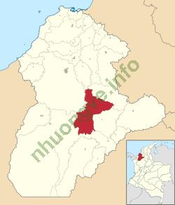 Ảnh Paratebueno 1231 4