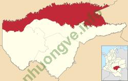 Ảnh Paratebueno 1231 5