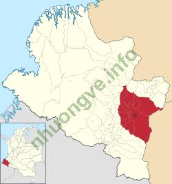 Ảnh Pasto 3166 2