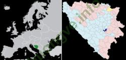 Ảnh Sarajevo 3479 9